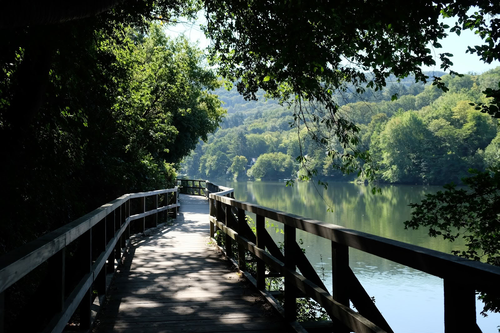 Scuola di yoga Anandam — Parco nazionale dell’Eifel