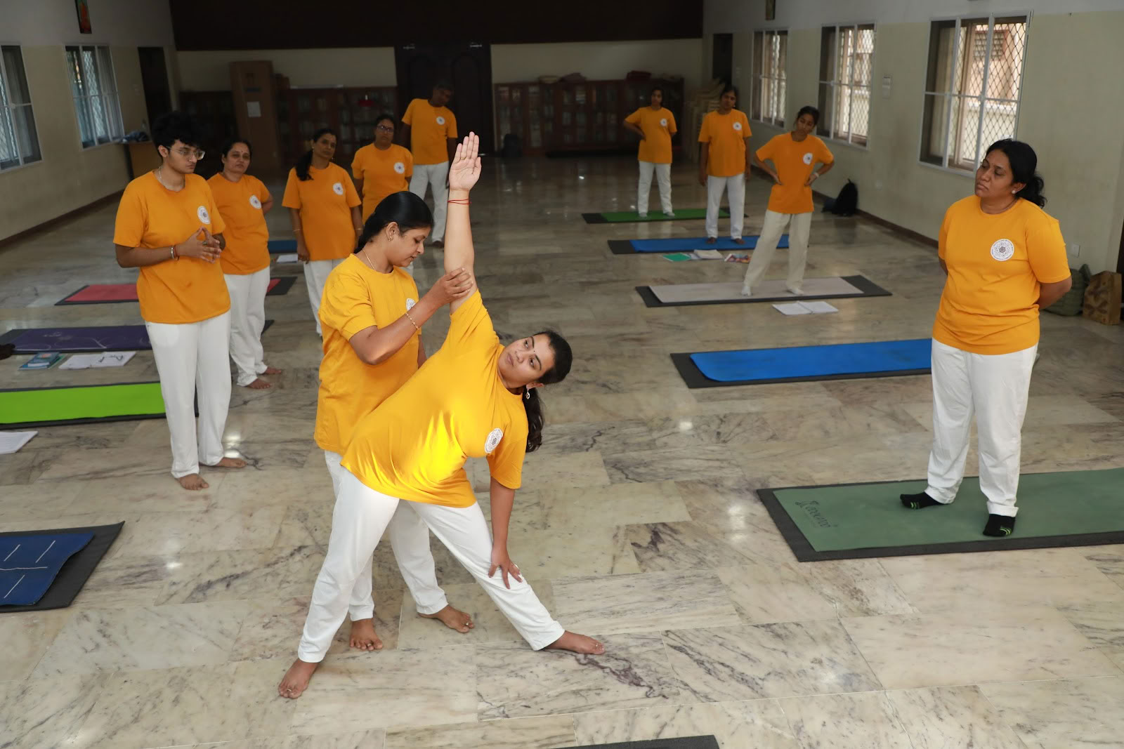 Istituto di Yoga Integrale