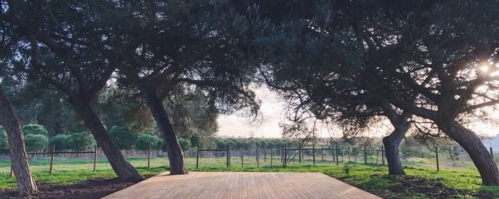 Cocoon Portogallo