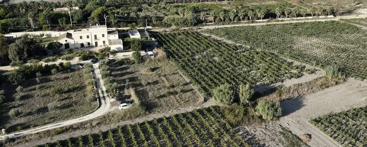Salinara