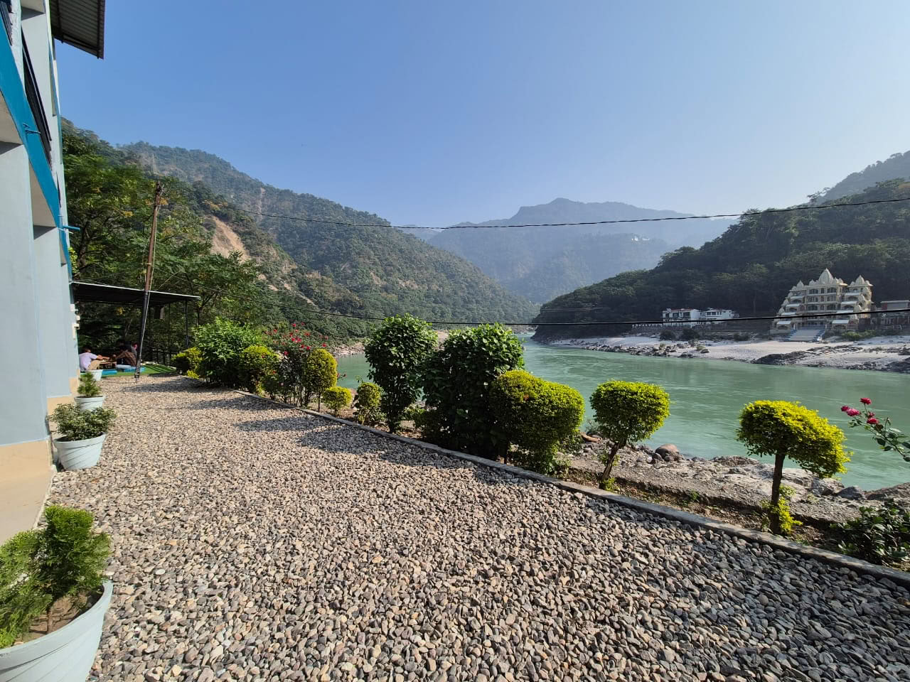 Albero himalayano sul Gange, Rishikesh