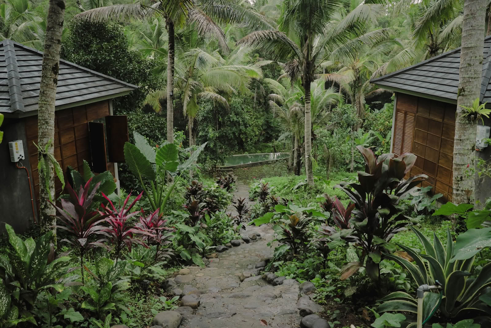 Ritiro nella Giungla Segreta di Bali