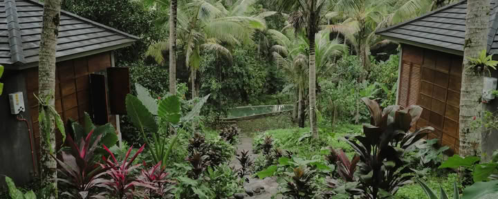 Ritiro nella Giungla Segreta di Bali