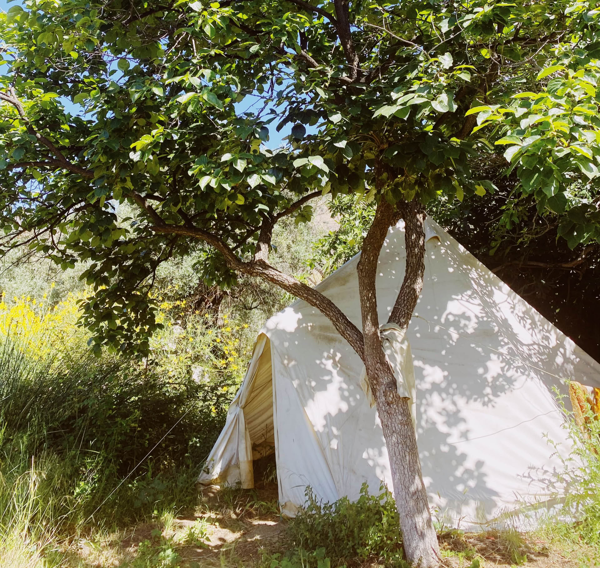 Private Bell Tent