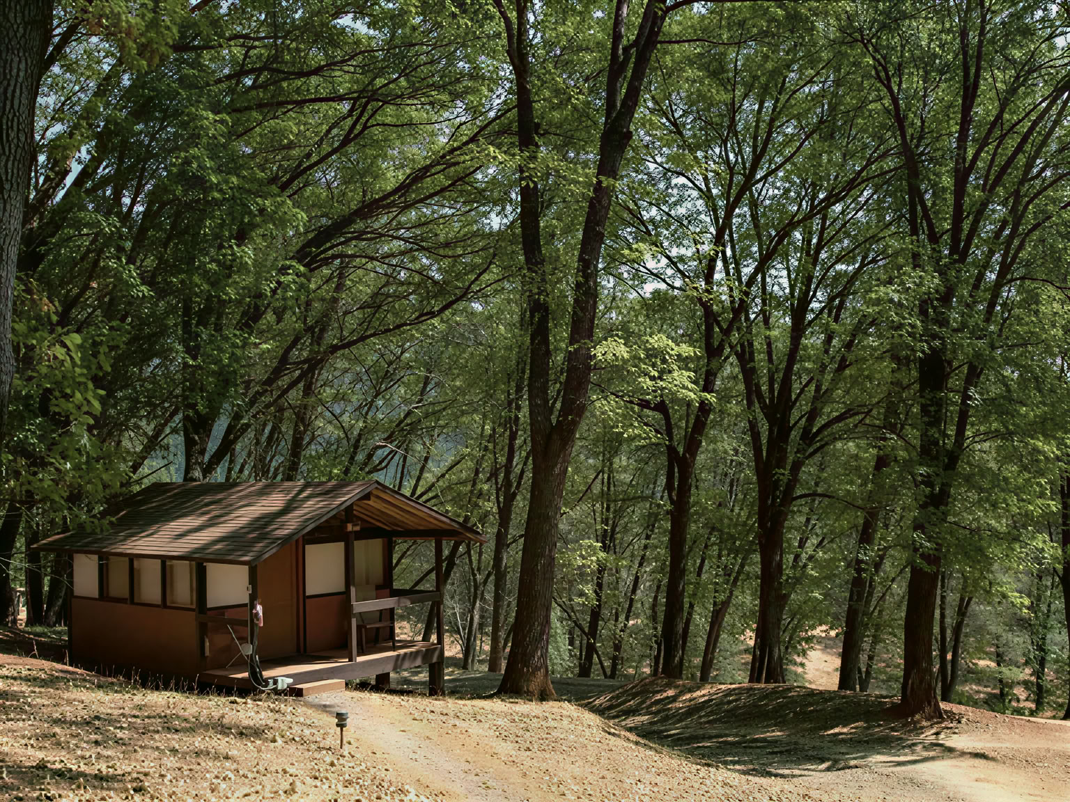 Cabina Condivisa