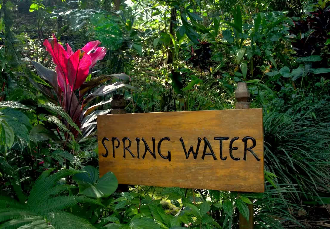 Bungalow Acqua di Primavera